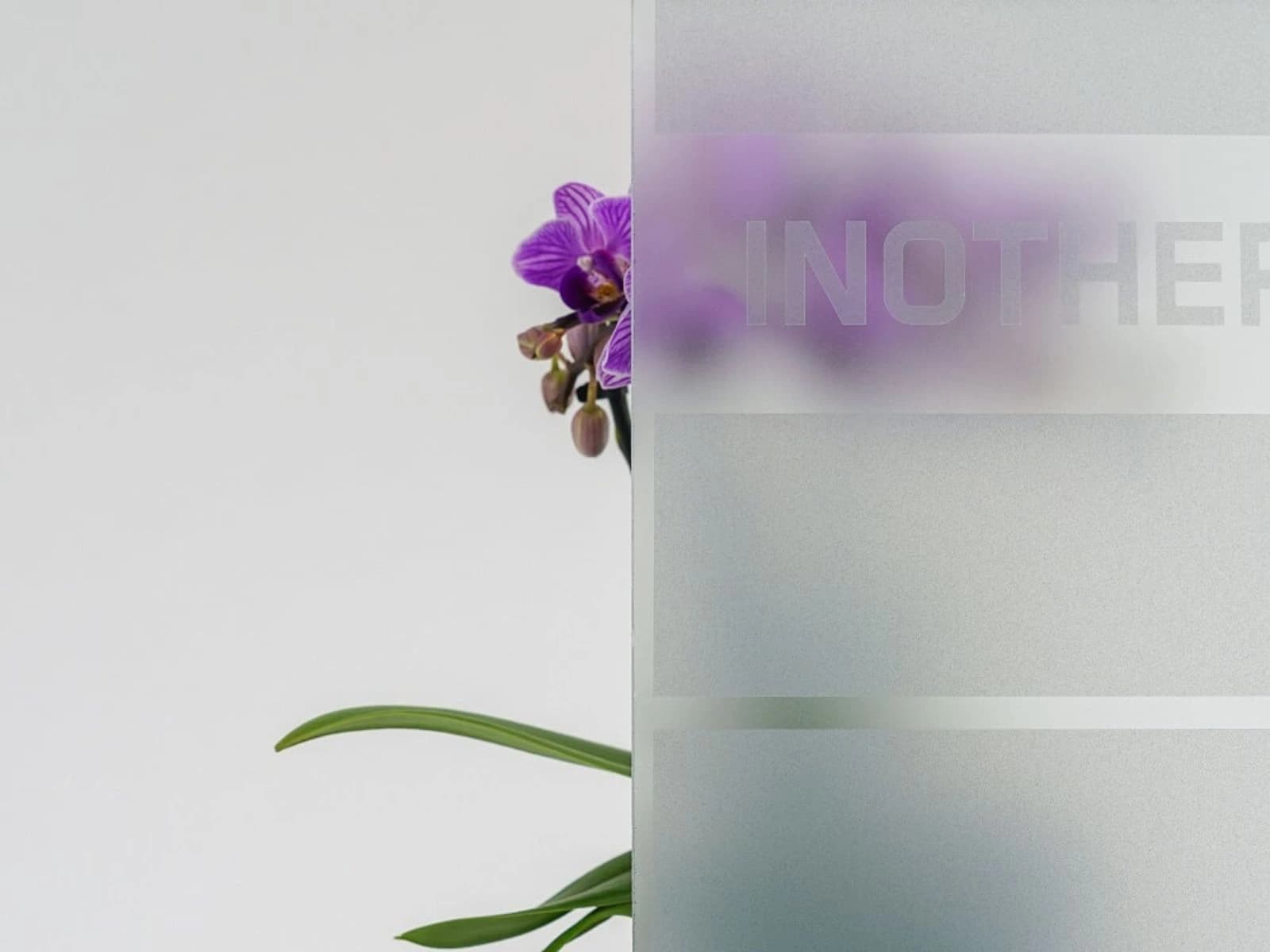 Glazing variants for Inotherm Entrance Doors